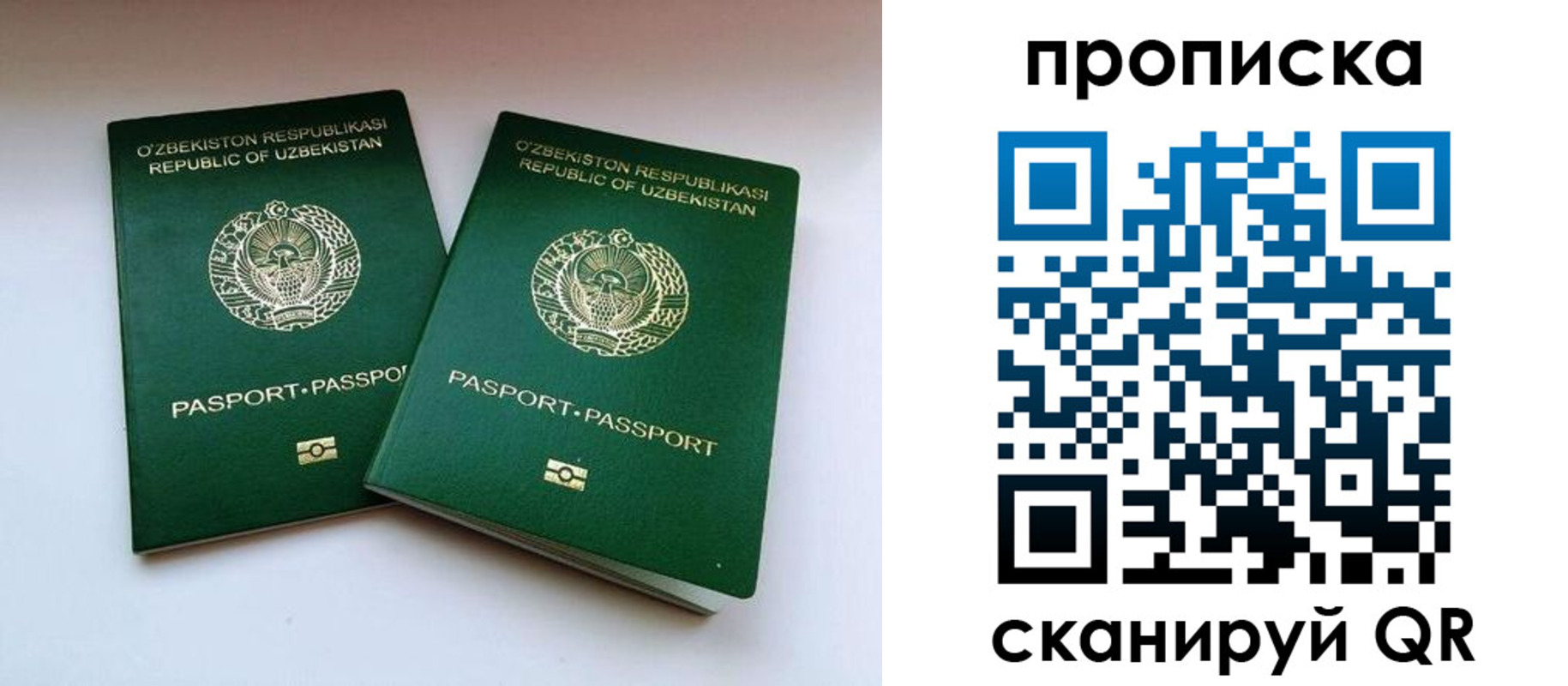прописка поиск в Карачаево-Черкесии